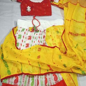 Ready to wear Jamdani Saree