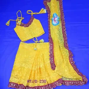 Ready to wear Chikankari Saree