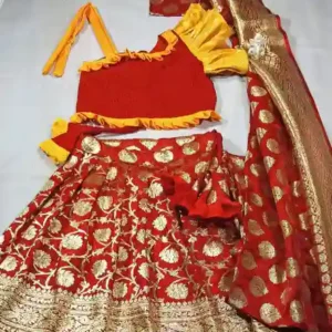 Ready to wear Banarasi Saree or Lehenga