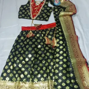 Banarasi Lehenga